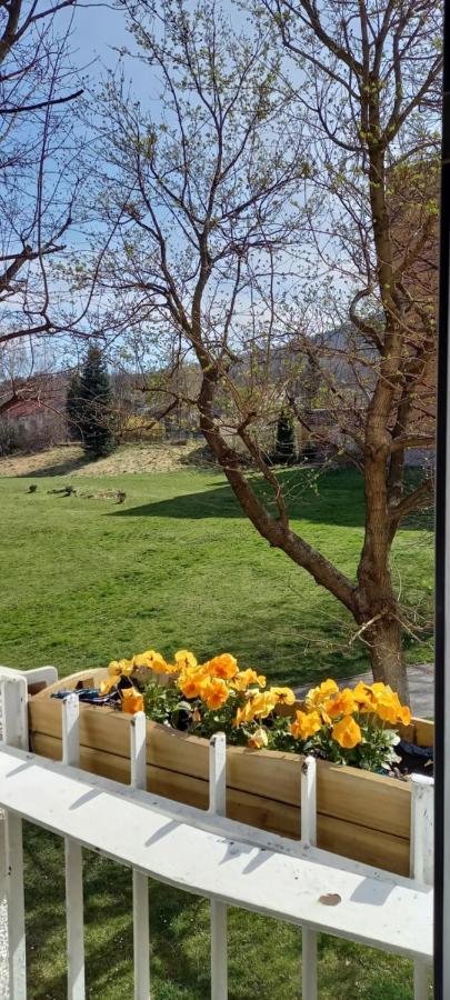 Na Lesnej Appartement Kowary Buitenkant foto