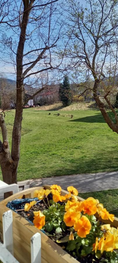 Na Lesnej Appartement Kowary Buitenkant foto