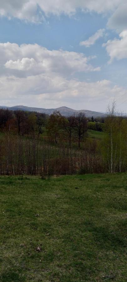 Na Lesnej Appartement Kowary Buitenkant foto