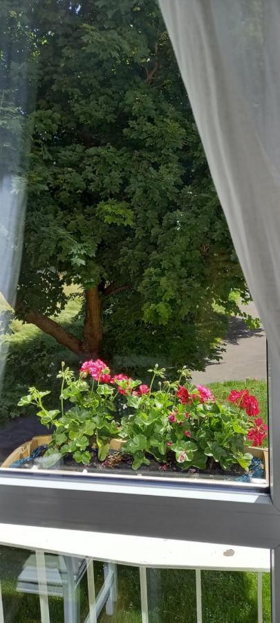 Na Lesnej Appartement Kowary Buitenkant foto